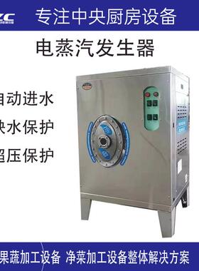 电蒸汽锅炉72千瓦电热锅炉用电的锅炉48kw蒸汽发生器