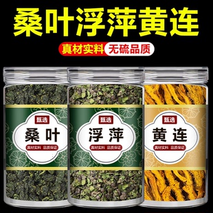 桑叶浮萍黄连组合茶中药材霜桑叶紫背浮萍黄莲片泡茶泡水喝的功效