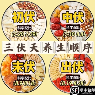 三伏天养生茶40天初伏四神汤中伏五指毛桃山药汤末伏红参桂圆汤