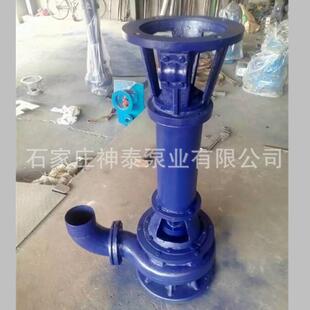 泥浆泵 80NSL50-20J立式排污泵 不堵塞搅拌式液下泥浆泵