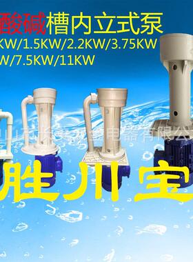 370W小型立式化工泵220V 单相微型槽内液下泵 蚀刻喷淋循环液下泵
