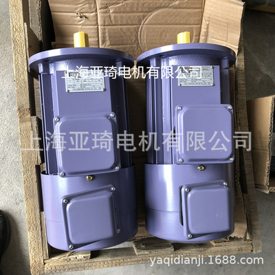 YP-50-0.25-8立式EULA小功率8极电机 低转速电机 低转速变频电机