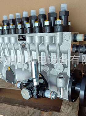 供应潍柴8200船用柴油机喷油泵C82.08.02.1000BP6879