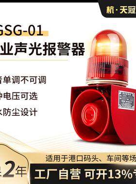 TGSG-01声光报警器一体化LED工业声光报警器单音单调多种电压