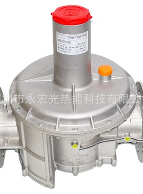 FMF3S157 DN80法兰比例阀原装菲奥FIORENTINI燃烧机专用配件供应