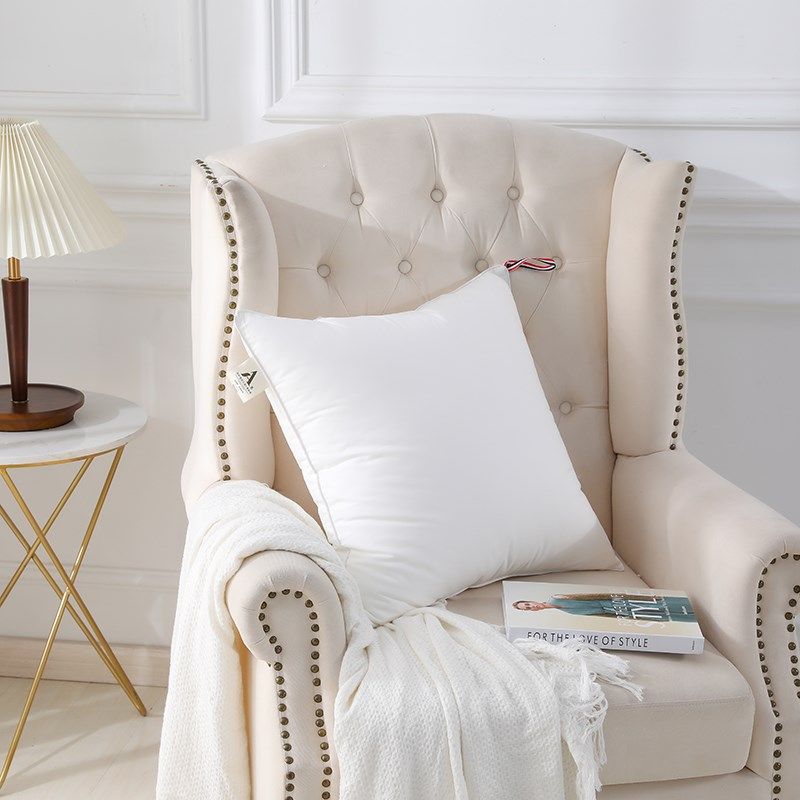 纯白全棉A类羽丝绒方枕芯45x45抱枕芯50x50 6P0x60床头沙发靠枕芯