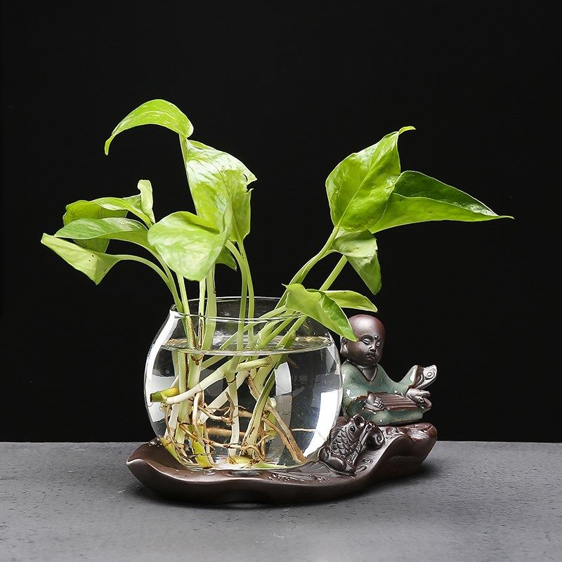 创意绿萝水培透i明花瓶水养植物器皿办公室桌面装饰品客厅插花花,鲜花速递/花卉仿真/绿植园艺,花瓶,淘宝优惠券,粉丝福利购,淘宝优惠卷