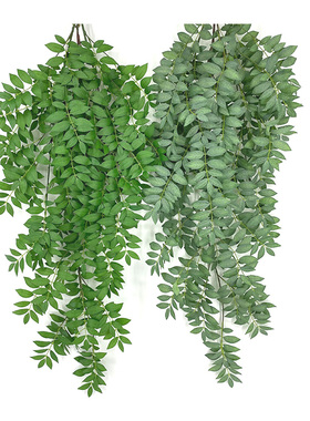 仿真大把c束挂藤皂荚树叶绿植造景垂挂吊顶藤条森系婚礼装饰爬藤