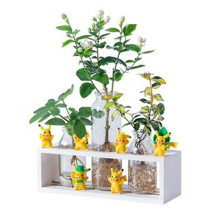水培植物办公室绿植盆栽富贵竹黄金葛室内花M卉客厅装饰桌面摆件