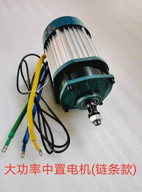 电动三四轮车永磁直流同步大功率电机马达48V60KV72V1500W1800W