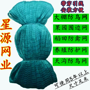 大棚风口防鸟网葡萄棚围边网天y沟网幼鸡养殖防护网稻田菜地防鸡