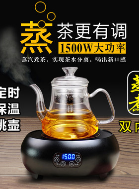 蒸茶壶电陶炉煮茶器过滤加热煮黑A茶蒸汽泡普洱茶功夫茶炉蒸煮两