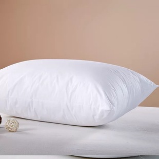 60x85/65x80 85 90 x100大号靠枕芯床头沙发办公室抱枕靠垫芯一只