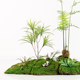 仿真绿植苔藓青苔块o草坪微景观人造草皮装 饰假植物橱窗阳台造景