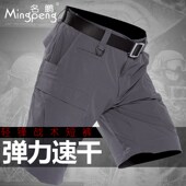 战术短裤 速W干短裤 男夏季 执政官薄款 特种兵军迷裤 户外作训裤 工装