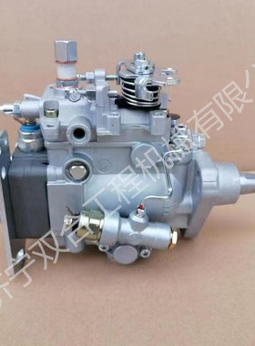 VE泵50421524 0460422306发动机燃油泵VE412F1150L10000