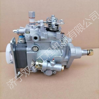 VE泵50421524 0460422306发动机燃油泵VE412F1150L10000