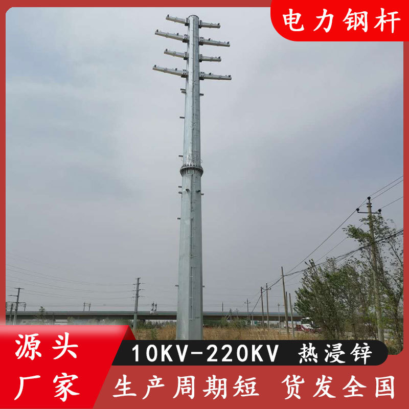 10KV高压法兰插接钢杆塔双回路