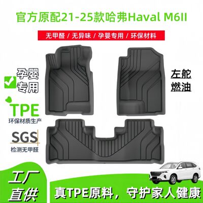 适用于21-25款款哈弗Haval M6II汽车脚垫全环保TPE脚垫后备箱垫