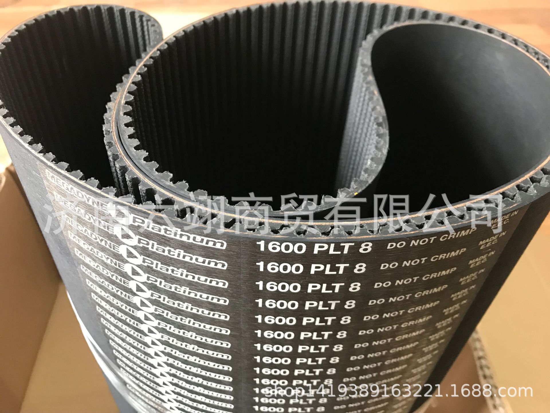 意大利麦高迪白金带1600-PLT8