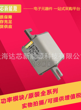 170M5243 170M5244 170M5245全新巴斯曼熔断器,底座