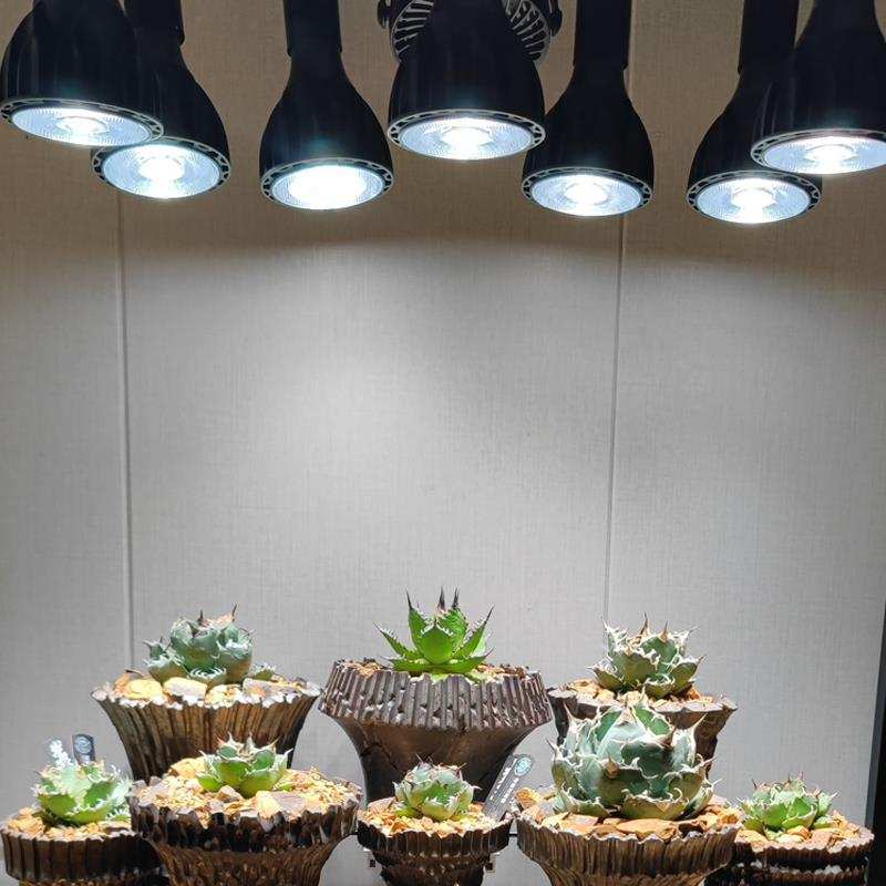 植物补光灯多肉块根全光谱仿太阳光led射灯室内绿热植生长灯