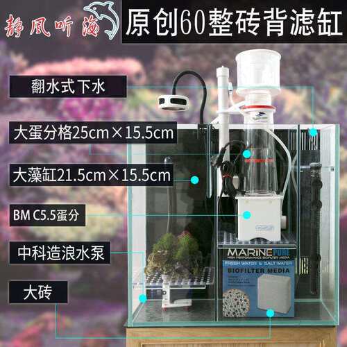 60方缸背滤海缸玻璃缸大蛋分藻缸神砖系统海水鱼缸珊瑚缸