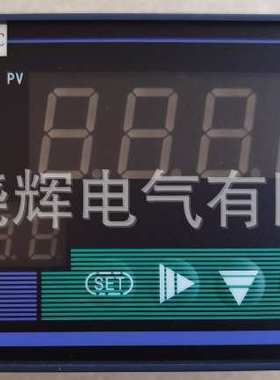 智能数显调节仪TM-ZTY-16080-24VDC