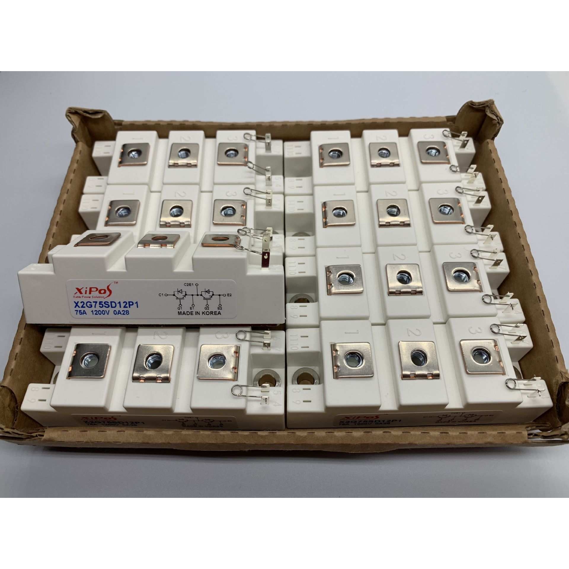 X2G75SD12P1 X2G50SD12P1 X2G100SD12P1 X2G100SD12P3