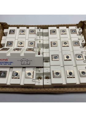 X2G75SD12P1 X2G50SD12P1 X2G100SD12P1 X2G100SD12P3