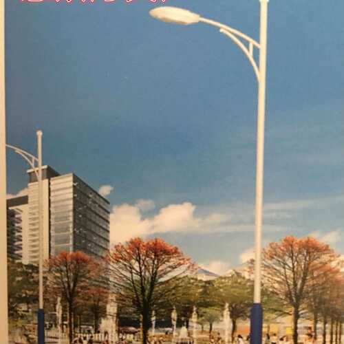 LED道路灯4/5/6米自弯臂 路灯杆高杆灯厂区户外路灯广场灯太阳能