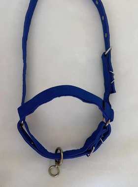 牛笼头秃头龙头大牛可调 新款板带牛笼头蓝色 加厚牛笼头全套小牛