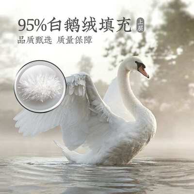 远梦羽绒冬被95%鹅绒双绒被加厚保暖冬被被芯2m被轻奢鹅绒高含量