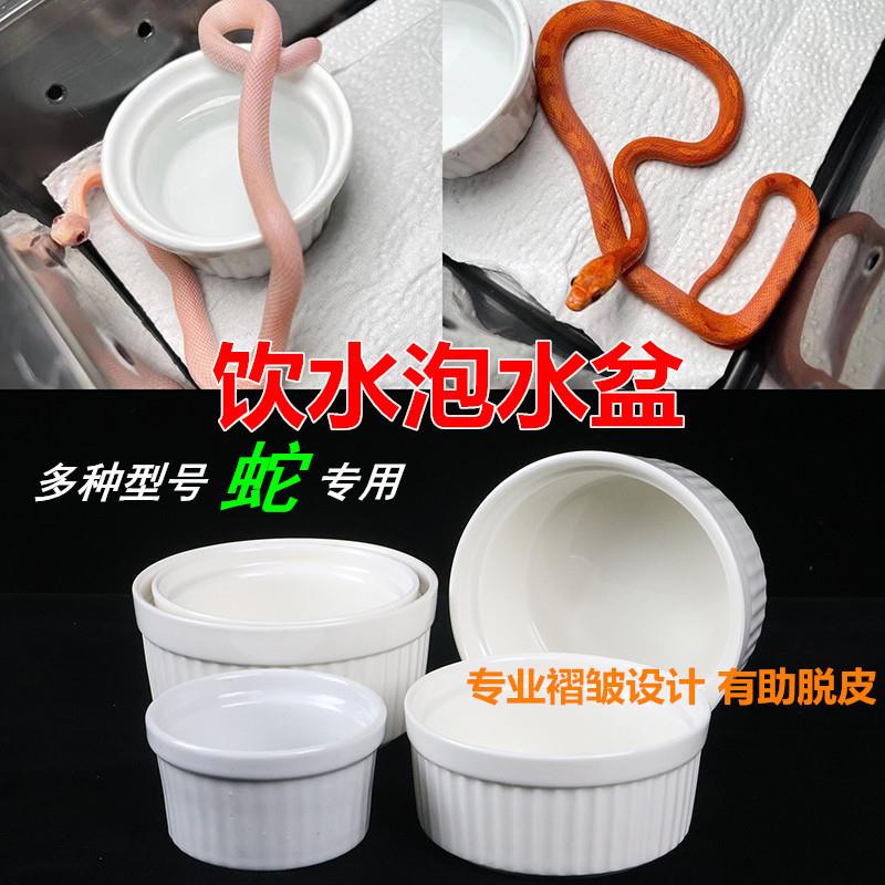 爬宠水盆宠物蛇黑白王饮水泡澡盆角蛙守宫鬃狮玉米陶瓷食盆两用