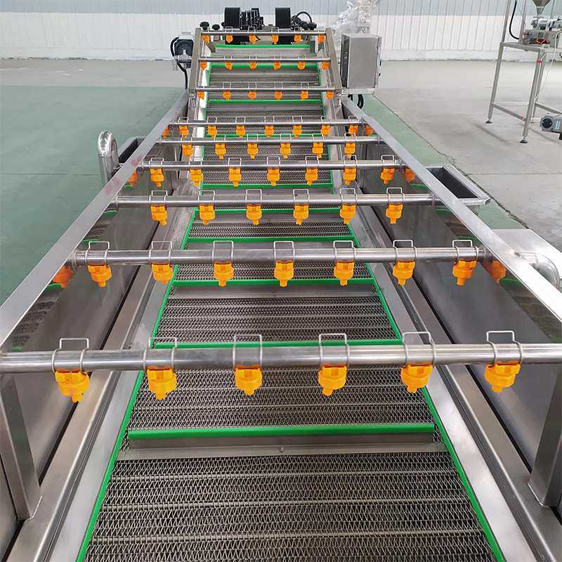 全自动圣女果玉米清洗机小白菜菠菜气泡清洗机连续式果蔬清洗设备