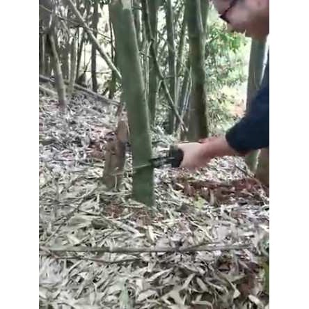 户外砍竹锂电充电式家用伐木锯竹子手提电动锯手持电锯子