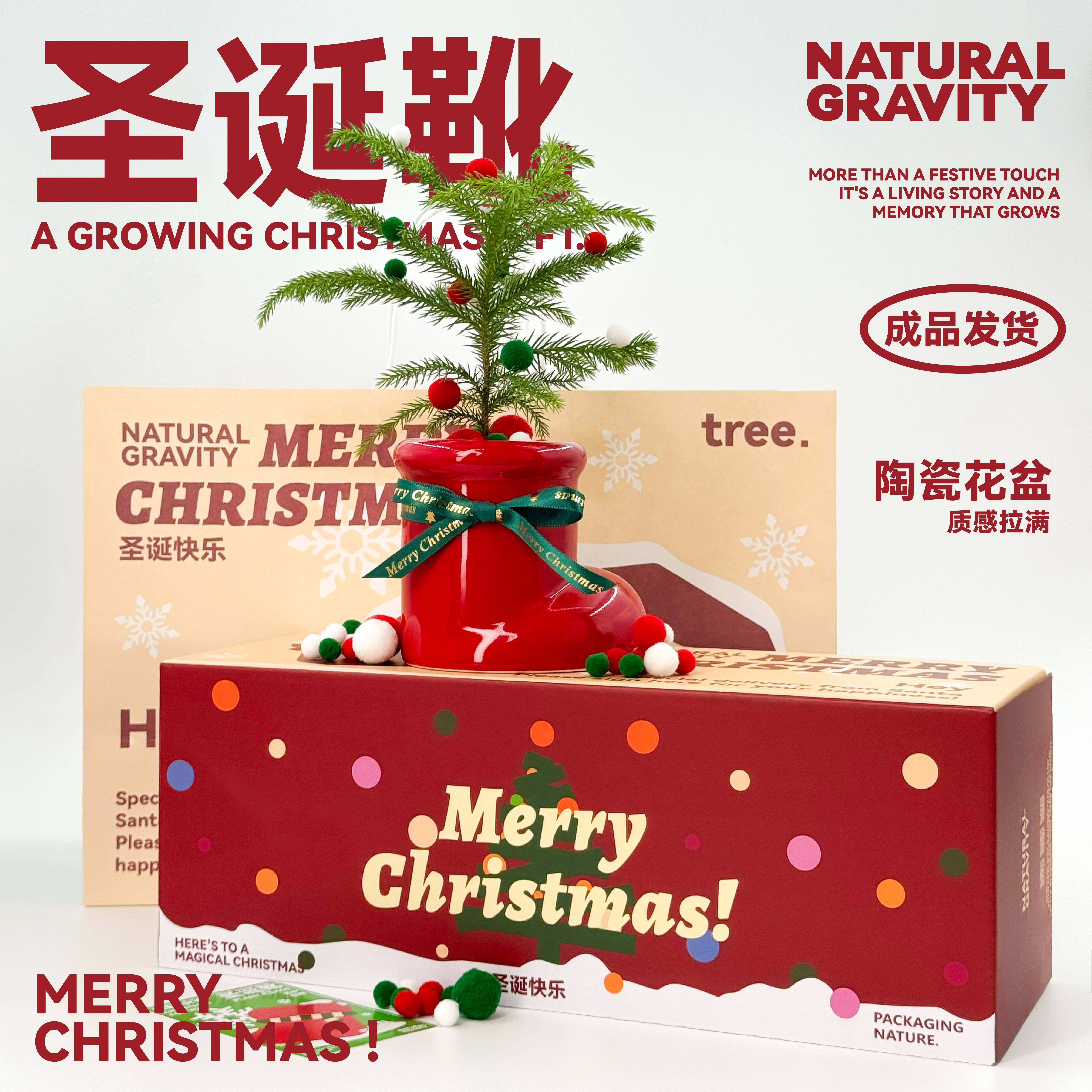 自然引力 圣诞礼物圣诞树南洋杉圣诞靴桌面创意室内绿物送人礼物,鲜花速递/花卉仿真/绿植园艺,苔藓微景观,淘宝优惠券,粉丝福利购,淘宝优惠卷