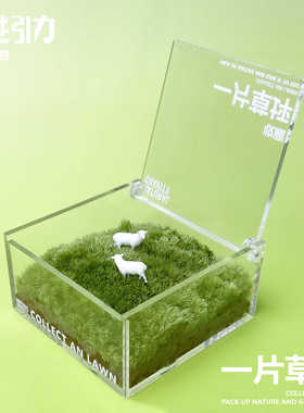 自然引力-一片草坪 苔藓微景观桌面懒人绿植盒子简单好养趣味植物
