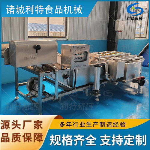 利特多功能气泡清洗机葱姜蒜果蔬冲洗设备蔬菜前处理自动清洗设备