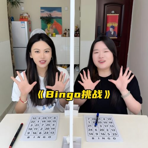Bingo挑战！找数字plus版游戏