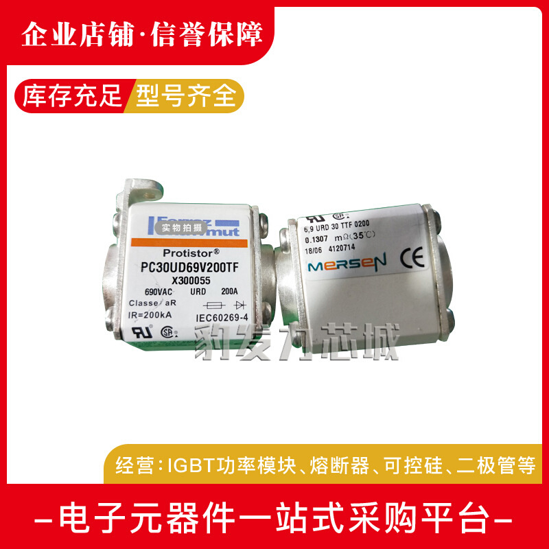 A130UD73TTI800 H301054  A130UD73TTI900 J301055全新熔断器