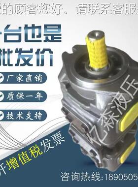 美国SUNNY伺服轮泵2HG2系列H-G22-16010齿0-01R-VPC液压双联GGL油