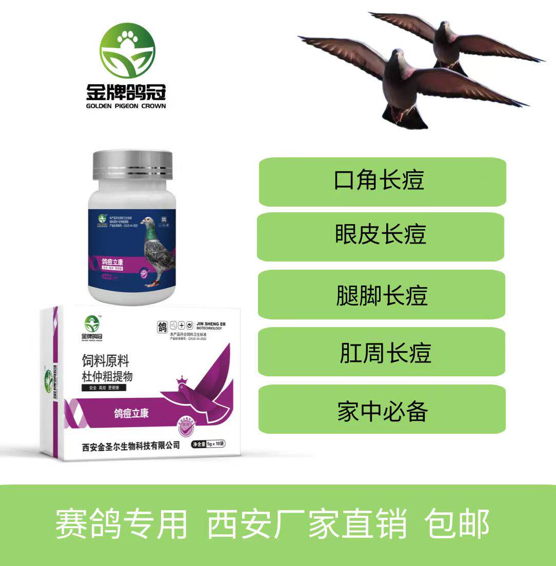 金牌鸽冠鸽痘立康鸽子专用皮肤型黏膜型混合型鸽痘赛鸽信鸽专用