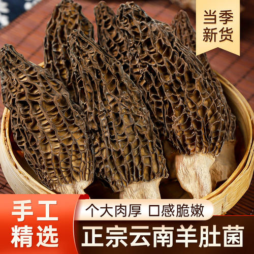 生态种植羊肚菌 低脂高蛋白 老人孩子都能吃