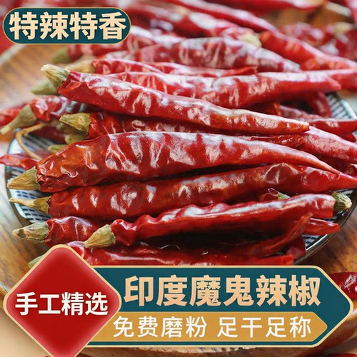 自然干制无硫熏、无人工染色 辣味后劲足