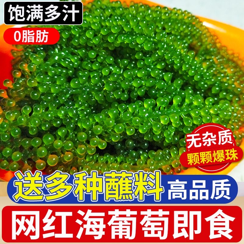 儿童海葡萄小孩吃的健康解馋网红小零食开袋即食海带海草裙带菜
