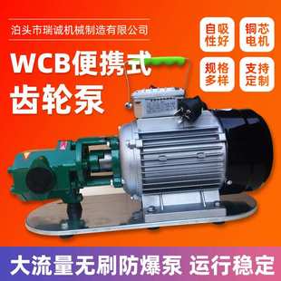 手提齿轮泵微型卸柴油液压机油220v小型不锈钢防爆wcb电动抽油泵
