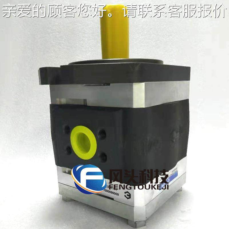 原装德国ECERQHJHLE艾可勒齿轮泵注塑EP2-022IRK03-11机伺服齿K轮