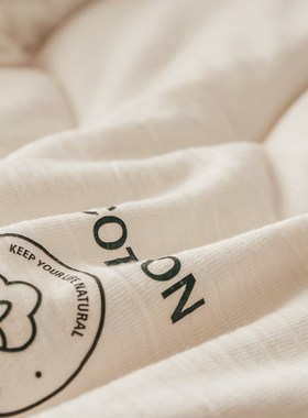 A类超柔软功能性床褥白色褥子床垫软垫子榻榻R米薄款垫子铺垫睡垫