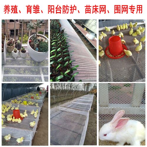 塑料平网养殖网育雏漏粪脚u踩网床养鸭养鸡养鹅养蜂阳台防护网垫